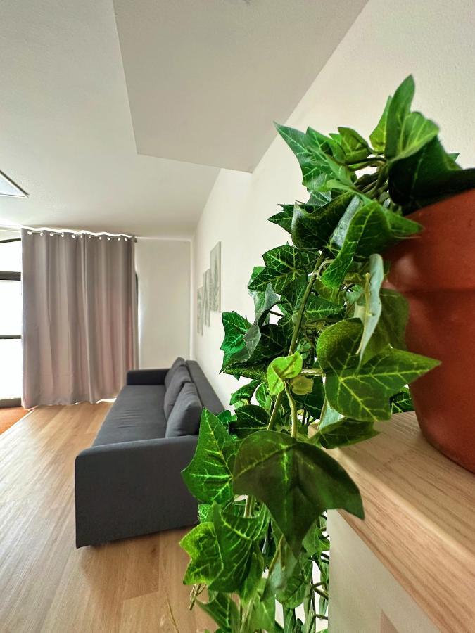 In Mezzo All'Aria Apartment Mezzolara Esterno foto